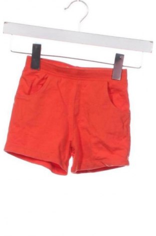 Dziecięce szorty Sinsay, Rozmiar 18-24m/ 86-98 cm, Kolor Czerwony, Cena 23,63 zł