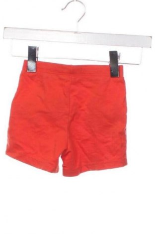 Dziecięce szorty Sinsay, Rozmiar 18-24m/ 86-98 cm, Kolor Czerwony, Cena 23,63 zł