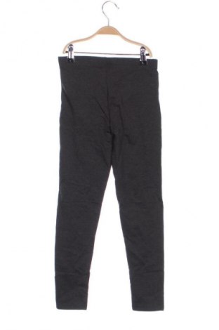 Παιδικό κολάν Alive, Μέγεθος 7-8y/ 128-134 εκ., Χρώμα Γκρί, Τιμή 13,60 €