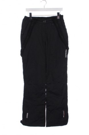 Παιδικό παντελόνι για χειμερινά σπορ Icepeak, Μέγεθος 15-18y/ 170-176 εκ., Χρώμα Μαύρο, Τιμή 28,99 €