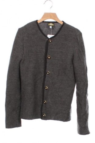 Kinderpullover Hammerschmid, Größe 10-11y/ 146-152 cm, Farbe Grau, Preis 17,99 €