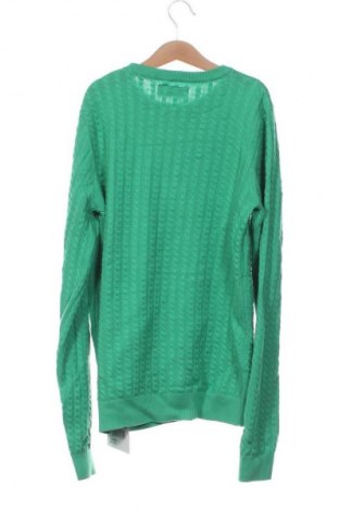 Dětský svetr  Next, Velikost 12-13y/ 158-164 cm, Barva Zelená, Cena  259,00 Kč