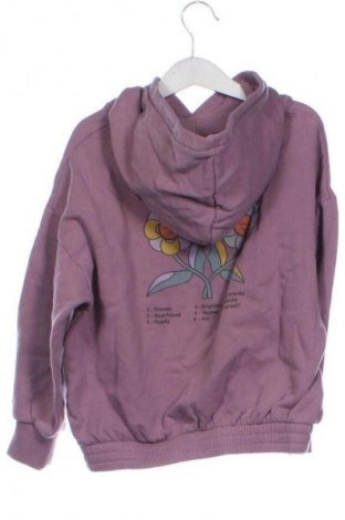 Παιδικό φούτερ Hundred Pieces, Μέγεθος 4-5y/ 110-116 εκ., Χρώμα Βιολετί, Τιμή 13,98 €
