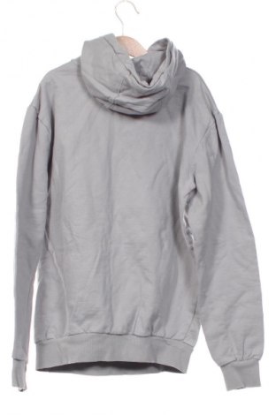 Kinder Sweatshirts Looney Tunes, Größe 14-15y/ 168-170 cm, Farbe Grau, Preis 12,00 €