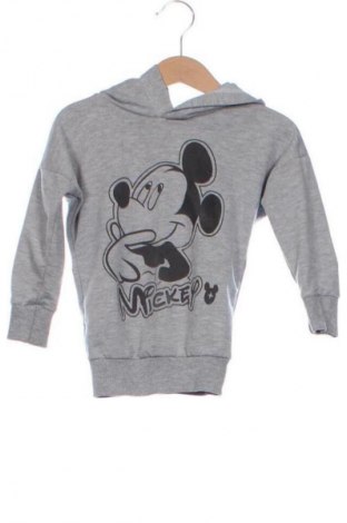 Παιδικό φούτερ Unbranded, Μέγεθος 2-3y/ 98-104 εκ., Χρώμα Γκρί, Τιμή 11,00 €