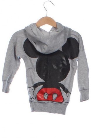 Παιδικό φούτερ Unbranded, Μέγεθος 2-3y/ 98-104 εκ., Χρώμα Γκρί, Τιμή 11,00 €