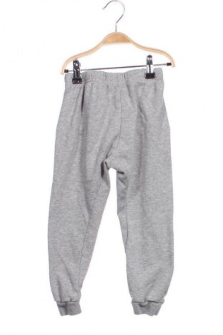 Παιδική κάτω φόρμα Adidas, Μέγεθος 2-3m/ 56-62 εκ., Χρώμα Γκρί, Τιμή 17,00 €