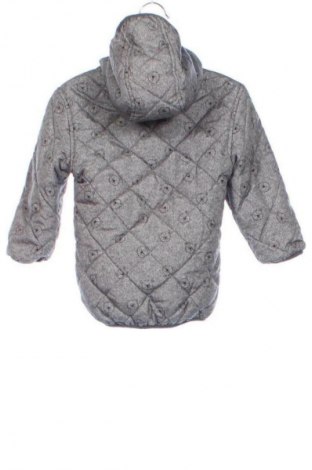 Detská bunda  Staccato, Veľkosť 9-12m/ 74-80 cm, Farba Sivá, Cena  62,18 €