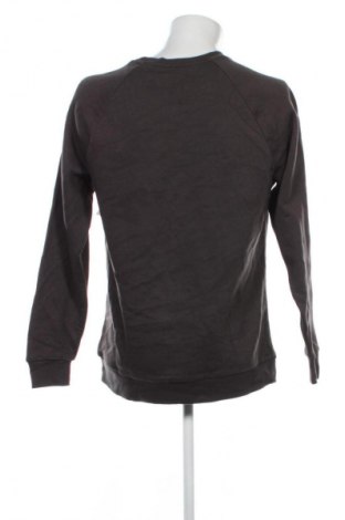 Ανδρική μπλούζα Anko, Μέγεθος M, Χρώμα Γκρί, Τιμή 10,99 €