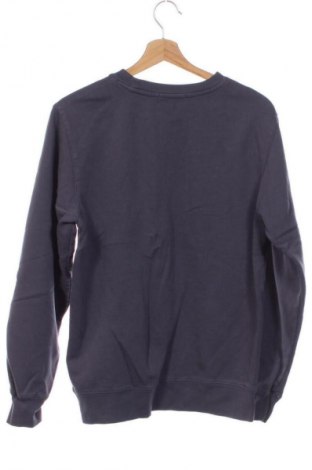 Ανδρική μπλούζα Brandy Melville, Μέγεθος XS, Χρώμα Γκρί, Τιμή 10,99 €