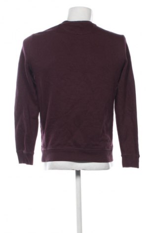 Ανδρική μπλούζα Calvin Klein Jeans, Μέγεθος S, Χρώμα Βιολετί, Τιμή 29,99 €