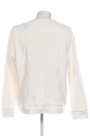 Férfi blúz Connor, Méret XXL, Szín Ekrü
, Ár 2 599 Ft