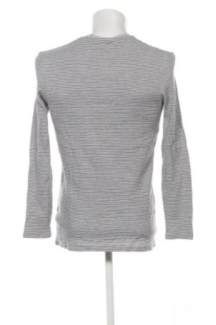 Męska bluzka Emerson, Rozmiar L, Kolor Kolorowy, Cena 49,99 zł