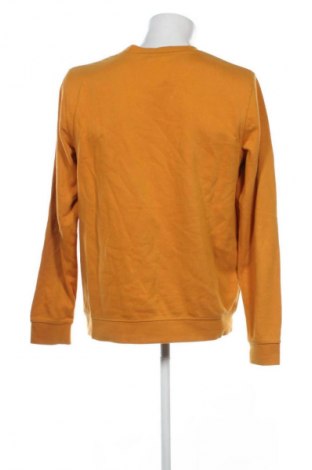 Ανδρική μπλούζα Livergy, Μέγεθος M, Χρώμα Πορτοκαλί, Τιμή 12,00 €