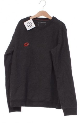 Ανδρική μπλούζα Mammut, Μέγεθος XS, Χρώμα Γκρί, Τιμή 30,99 €