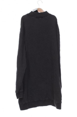 Ανδρική μπλούζα Sportsgirl, Μέγεθος XS, Χρώμα Γκρί, Τιμή 24,99 €