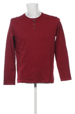 Ανδρική μπλούζα Tom Tailor, Μέγεθος L, Χρώμα Κόκκινο, Τιμή 13,81 €