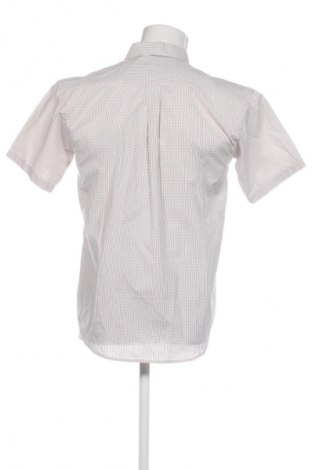 Ανδρικό πουκάμισο Barotti, Μέγεθος M, Χρώμα Πολύχρωμο, Τιμή 14,99 €