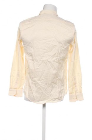 Męska koszula Blackberrys, Rozmiar M, Kolor Żółty, Cena 48,99 zł