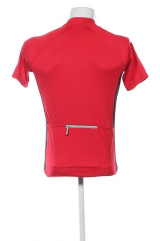 Męski T-shirt De Marchi, Rozmiar M, Kolor Kolorowy, Cena 93,20 zł