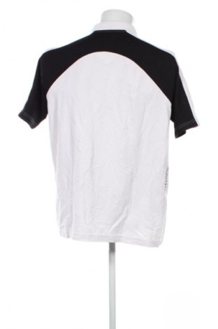 Męski T-shirt Golfino, Rozmiar L, Kolor Kolorowy, Cena 120,99 zł