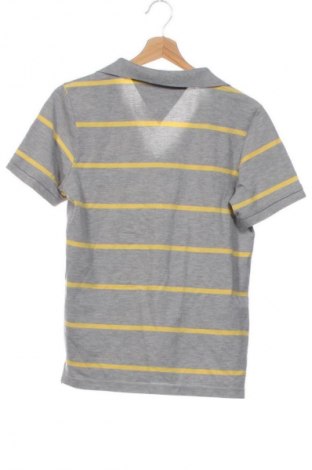 Ανδρικό t-shirt Lacoste, Μέγεθος S, Χρώμα Πολύχρωμο, Τιμή 37,99 €