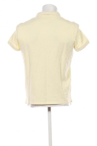 Herren T-Shirt Massimo Dutti, Größe L, Farbe Gelb, Preis € 20,99