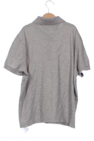 Herren T-Shirt Tommy Hilfiger, Größe S, Farbe Grau, Preis € 28,99