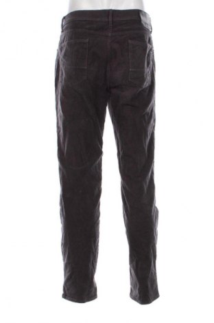 Męskie sztruksy Brax, Rozmiar L, Kolor Szary, Cena 63,99 zł