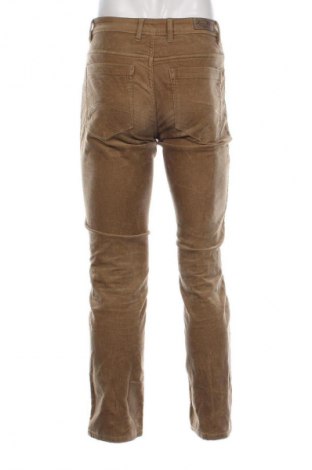 Męskie sztruksy Canda, Rozmiar M, Kolor Brązowy, Cena 29,99 zł