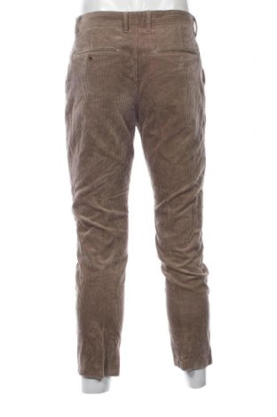 Herren Cordhose Canda, Größe M, Farbe Braun, Preis € 9,99
