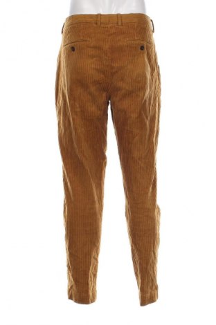 Męskie sztruksy Dan John, Rozmiar XL, Kolor Pomarańczowy, Cena 49,99 zł