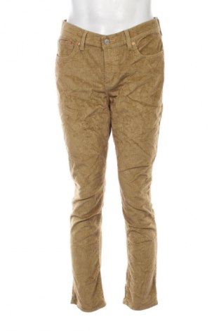 Pánské manšestráky  Levi's, Velikost L, Barva Hnědá, Cena  549,00 Kč