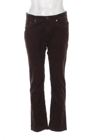 Męskie sztruksy Montego, Rozmiar M, Kolor Brązowy, Cena 39,99 zł