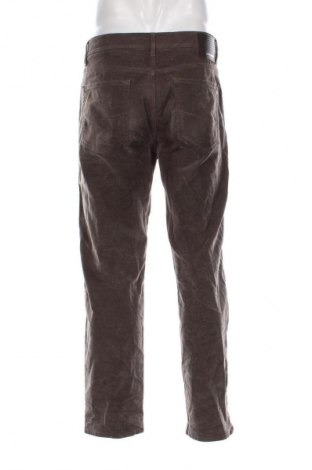 Męskie sztruksy Pierre Cardin, Rozmiar XL, Kolor Szary, Cena 91,99 zł