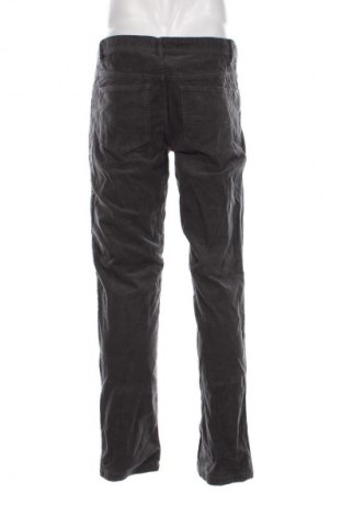 Pantaloni raiați de bărbați Unbranded, Mărime L, Culoare Gri, Preț 43,99 Lei