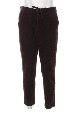 Męskie sztruksy Uniqlo, Rozmiar M, Kolor Brązowy, Cena 41,99 zł