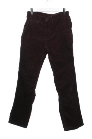 Pánské manšestráky  Watson's, Velikost M, Barva Hnědá, Cena  259,00 Kč