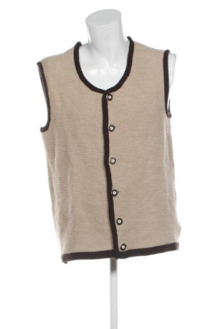 Ανδρικό γιλέκο Unbranded, Μέγεθος L, Χρώμα Πολύχρωμο, Τιμή 10,99 €