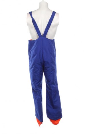 Salopetă bărbătească pentru sporturi de iarnă Elho, Mărime XL, Culoare Argintiu, Preț 215,99 Lei