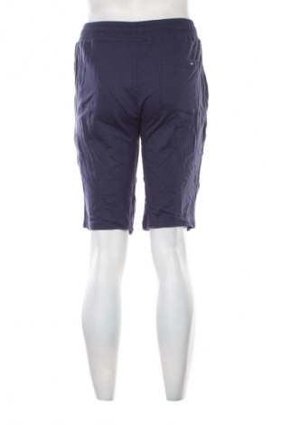 Pantaloni scurți de bărbați U.S. Polo Assn., Mărime S, Culoare Albastru, Preț 105,99 Lei