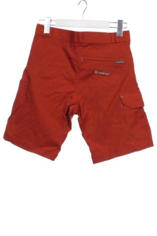 Ανδρικό κοντό παντελόνι Unbranded, Μέγεθος S, Χρώμα Καφέ, Τιμή 14,99 €