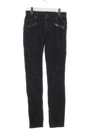 Męskie spodnie Buena Vista, Rozmiar S, Kolor Szary, Cena 24,99 zł