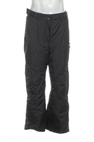 Ανδρικό παντελόνι για χειμερινά σπορ Crane, Μέγεθος L, Χρώμα Γκρί, Τιμή 18,99 €