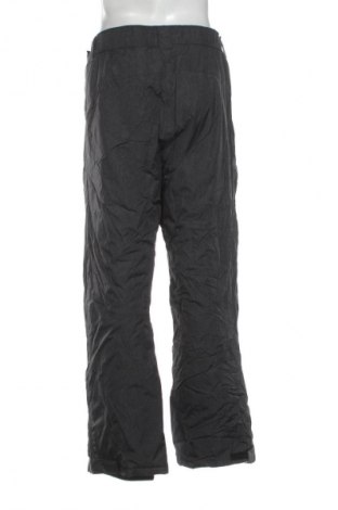 Ανδρικό παντελόνι για χειμερινά σπορ Crane, Μέγεθος L, Χρώμα Γκρί, Τιμή 18,99 €