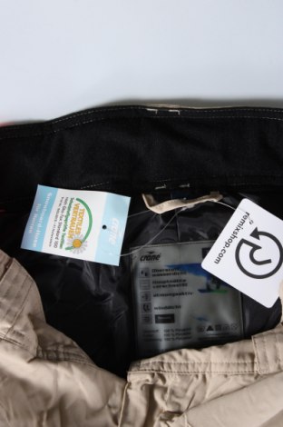 Herrenhose für Wintersport Crane, Größe M, Farbe Beige, Preis € 26,99