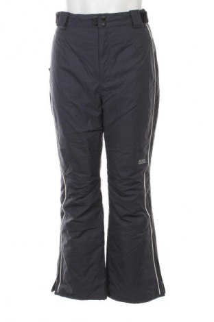 Ανδρικό παντελόνι για χειμερινά σπορ Vittorio Rossi, Μέγεθος S, Χρώμα Γκρί, Τιμή 20,99 €