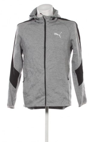 Herren Sweatshirt PUMA, Größe L, Farbe Grau, Preis € 32,99
