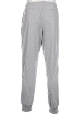 Ανδρικό αθλητικό παντελόνι Circuit, Μέγεθος L, Χρώμα Γκρί, Τιμή 11,99 €