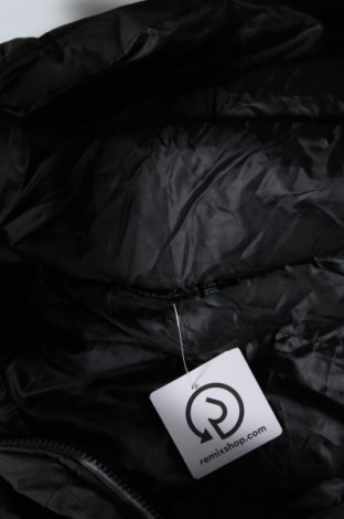 Ανδρικό μπουφάν Livergy, Μέγεθος XL, Χρώμα Μαύρο, Τιμή 26,99 €